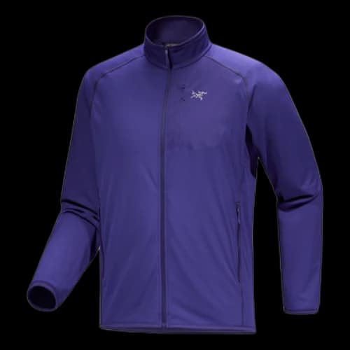 Arc'Teryx Delta Jacket 'Purple'