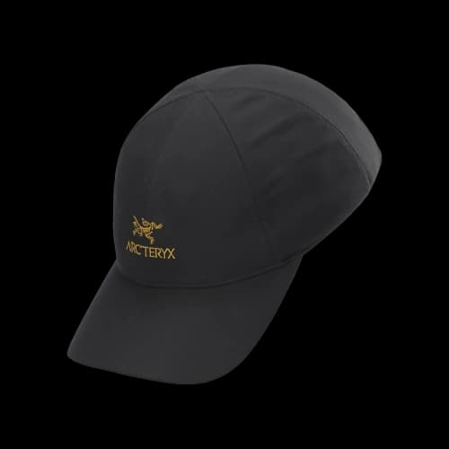 Arc'teryx Bird Word Cap 'Black'