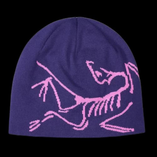 Arc'Teryx Lightweight Bird Head Toque 'Purple'