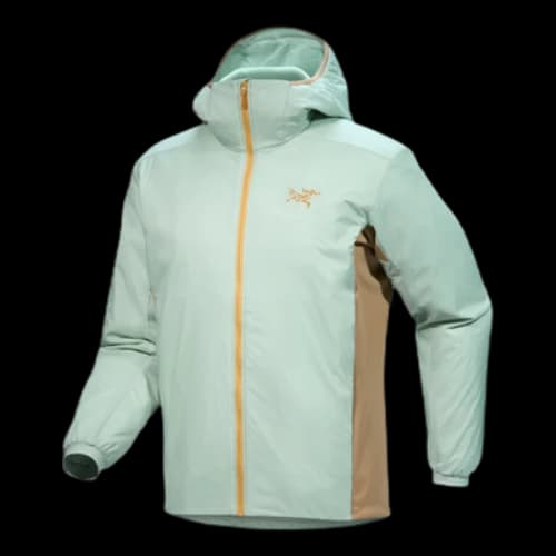 Arc'Teryx Atom Hoody 'Green'