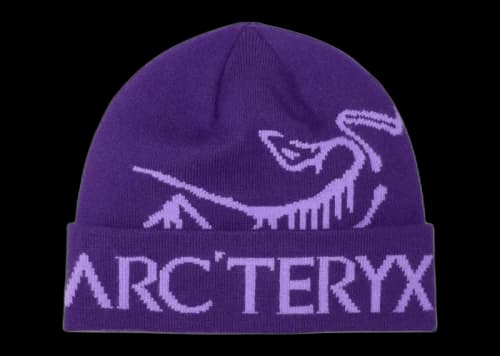 Arc'teryx Bird Word Toque Beanie Azalea/Aster