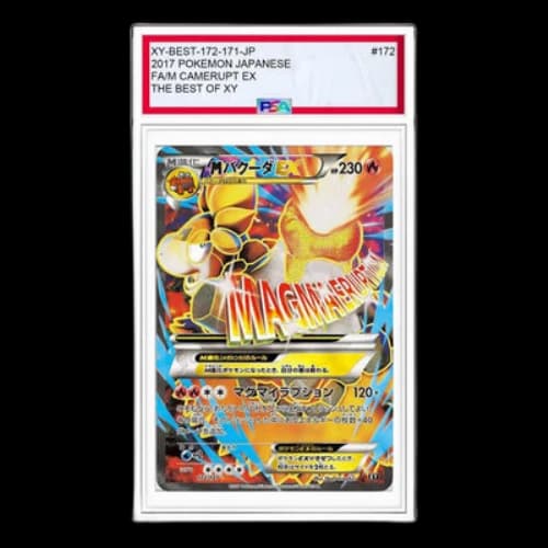 Pokemon The Best of XY [XY-BEST 172/171] 'M Camerupt EX'