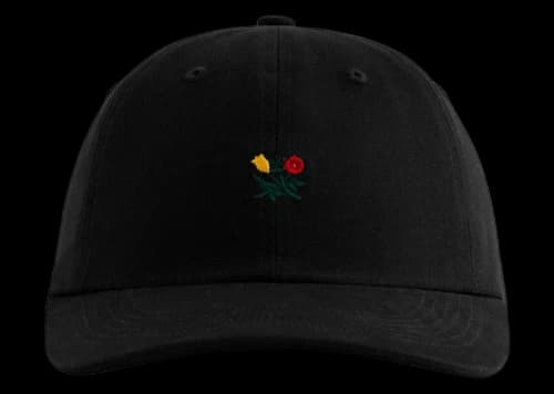 Aime Leon Dore Brushed Crest Hat Black