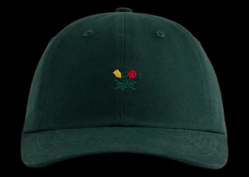 Aime Leon Dore Brushed Crest Hat Green