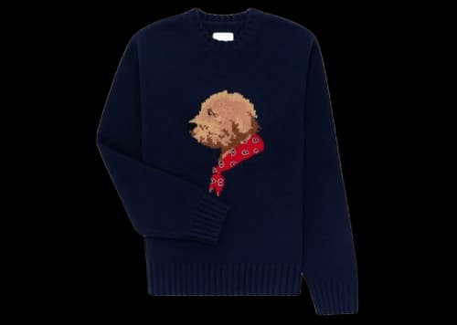 Aime Leon Dore Collegiate Buddy Knit Sweater Blue