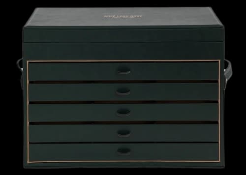 Aime Leon Dore Eyewear Display Case Green