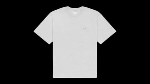 Aime Leon Dore Micro Logo Tee Silver Mix