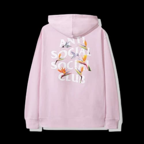 Anti Social Social Club Pair Of Dice Hoodie (FW19) Pink