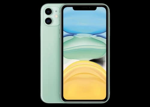 Apple iPhone 11 A2111 Green