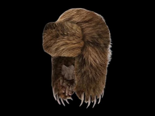 Bravest Studios Bear Claw Hat Brown