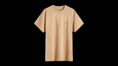 Carhartt WIP American Script T-shirt Peanut