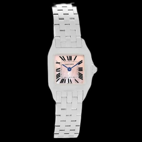 Cartier Santos W25075Z5