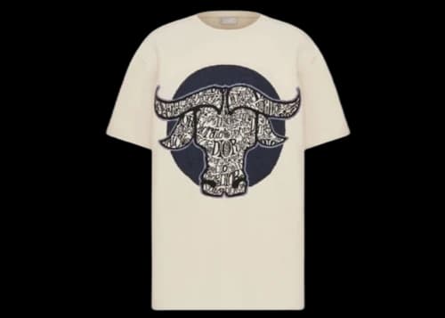 Dior And Shawn Oversized T-Shirt (SS21) White