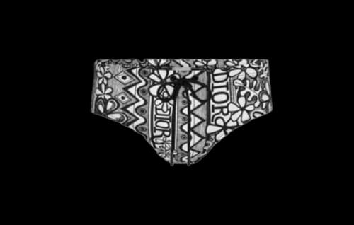 Dior And Shawn Swim Briefs Black/White