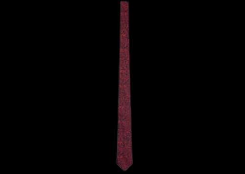 Dior And Shawn Tie Navy Blue/Red