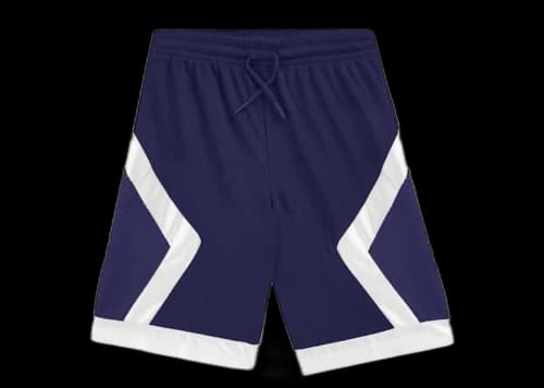 Dior x Jordan Basketball Shorts Navy