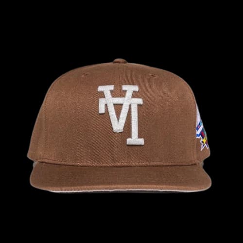 Happy Memories Don't Die 3M LA Snapback Hat Mocha