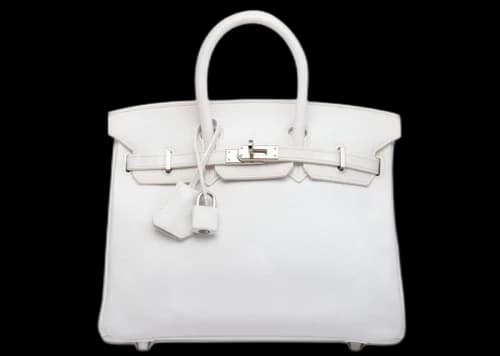 Hermes Birkin Epsom 25 White