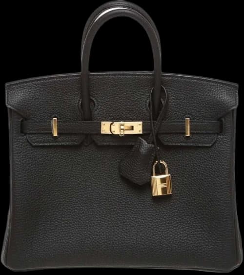 Hermes Birkin Togo 25 Gold-tone Noir