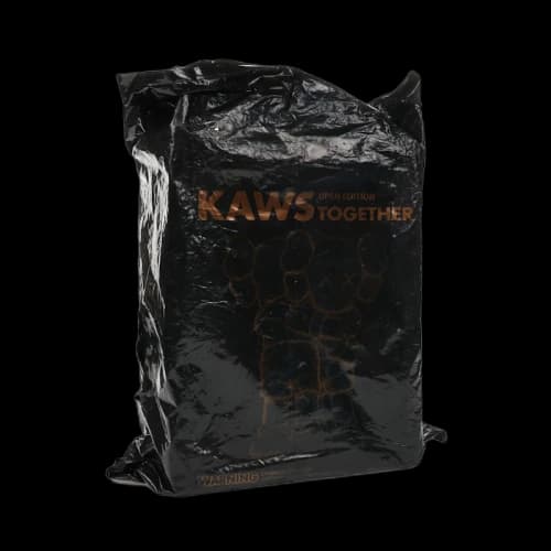 KAWS Together Vinyl Figure Brown