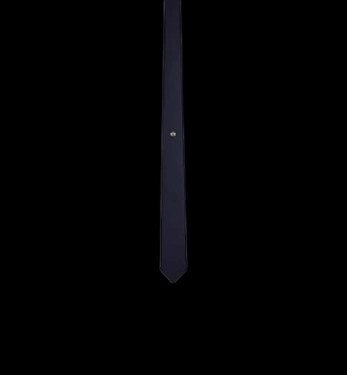 KAWS x Dior Bee Silk Tie Navy