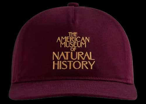 Kith AMNH Cap Magma