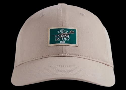 Kith AMNH Fossil Label Cap Plaster