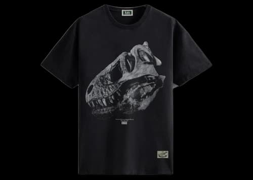 Kith AMNH T-Rex Vintage Tee Black