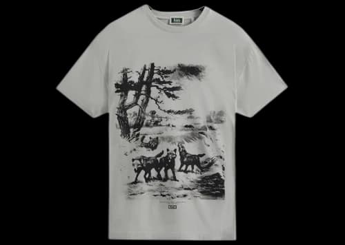Kith AMNH Wolves Vintage Tee Concrete