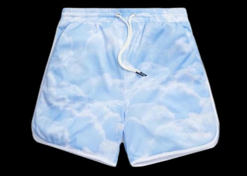 Kith Jordan Mesh Short Summit