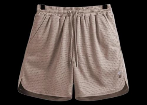 Kith Mesh Jordan Short Morganite