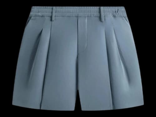 Kith Wade Pleated Short Innate