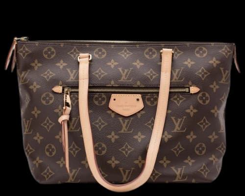 Louis Vuitton Iena Monogram PM Brown