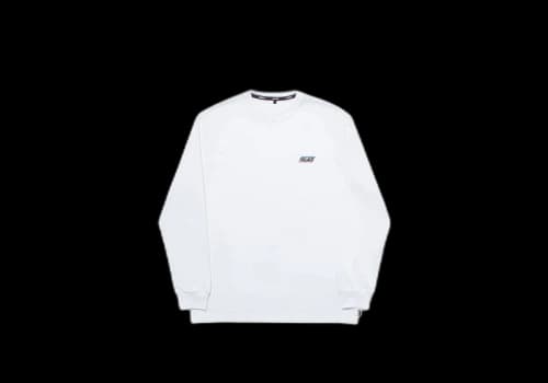 Palace Basically A Longsleeve White