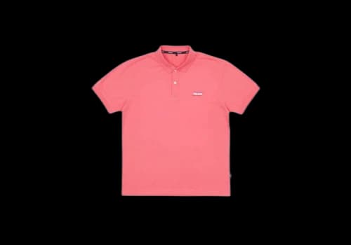 Palace Basically a Polo Pink