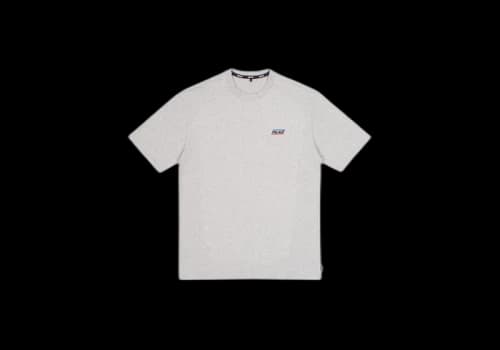 Palace Basically A T-Shirt (FW20) Grey Marl