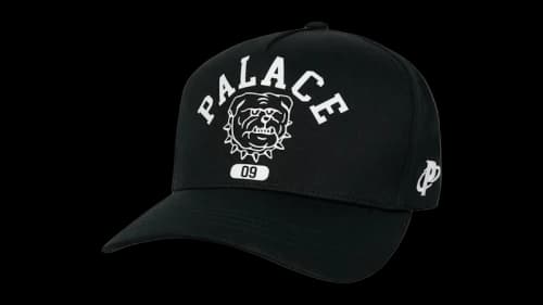 Palace Bulldog P Frame 5-Panel Snapback