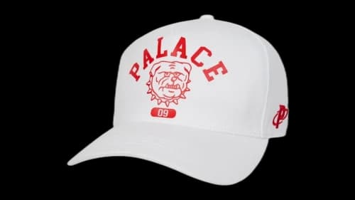 Palace Bulldog P Frame 5-Panel Snapback