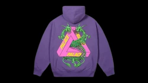 Palace Dragon Bones Tri Hood Purp