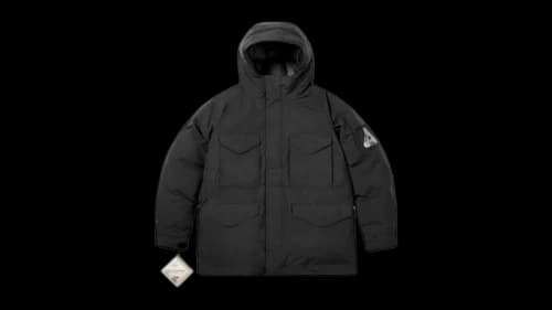 Palace Gore-Tex Windstopper Down Parka Black