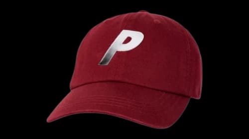Palace P 6-Panel (FW25) Berg