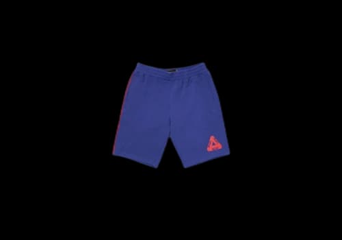 Palace Verto Short Purple