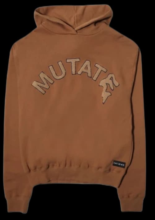 Perks And Mini High Order Chenille Hoodie Rust