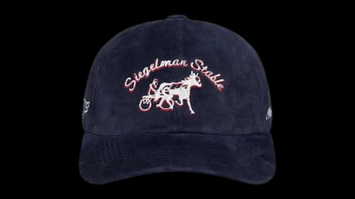 Siegelman Stable Stable Dad Hat Navy