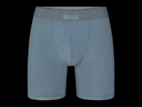 SKIMS Men's 5" Cotton Boxer Brief Kyanite
