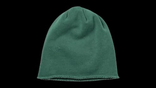 SKYLRK Logo Beanie Pine