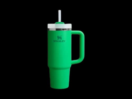 Stanley Flowstate Quencher 30oz Tumbler Meadow