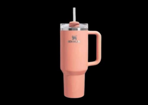 Stanley Melon Quencher 40oz Tumbler Melon