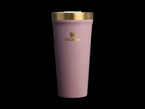Stanley The Everyday 20oz Smooth Tumbler Cashmere