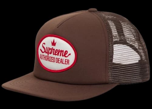 Supreme Authorized Mesh Back 5 Panel FW24 Brown